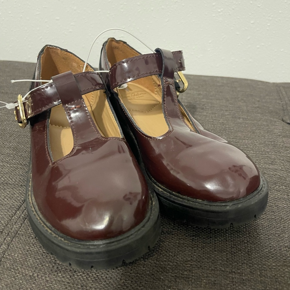 Kids Burgundy Mary Jane Shoes Sam Edelman size 2